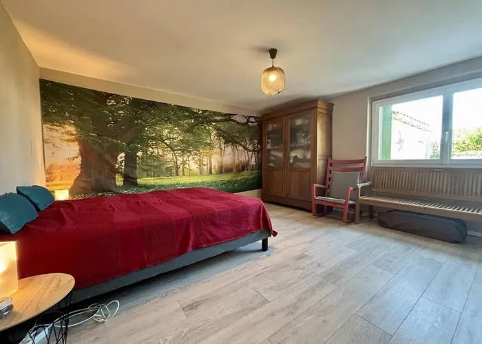 Ferienhaus Charmante Maison 3 Pieces Avec Jardin - Saint Pierre D'oleron - Fr-1-246a-343 *